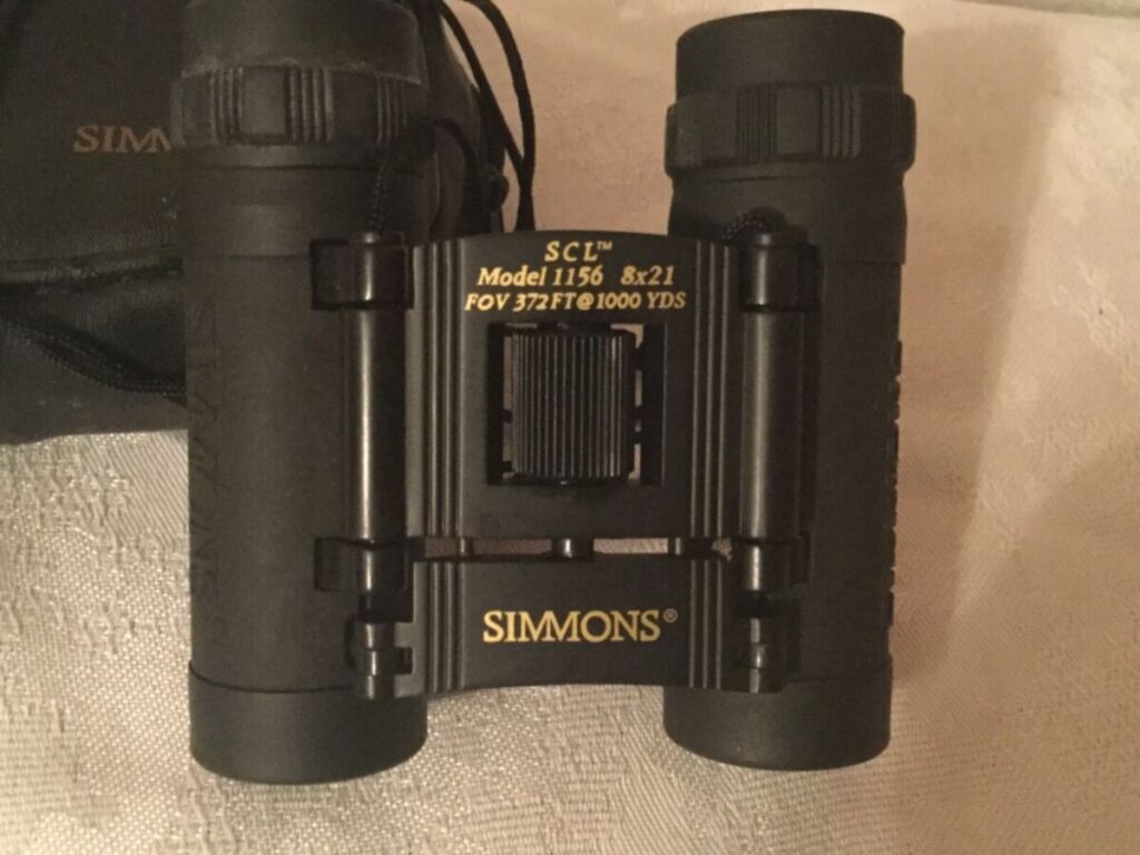 Best 8×21 Binoculars