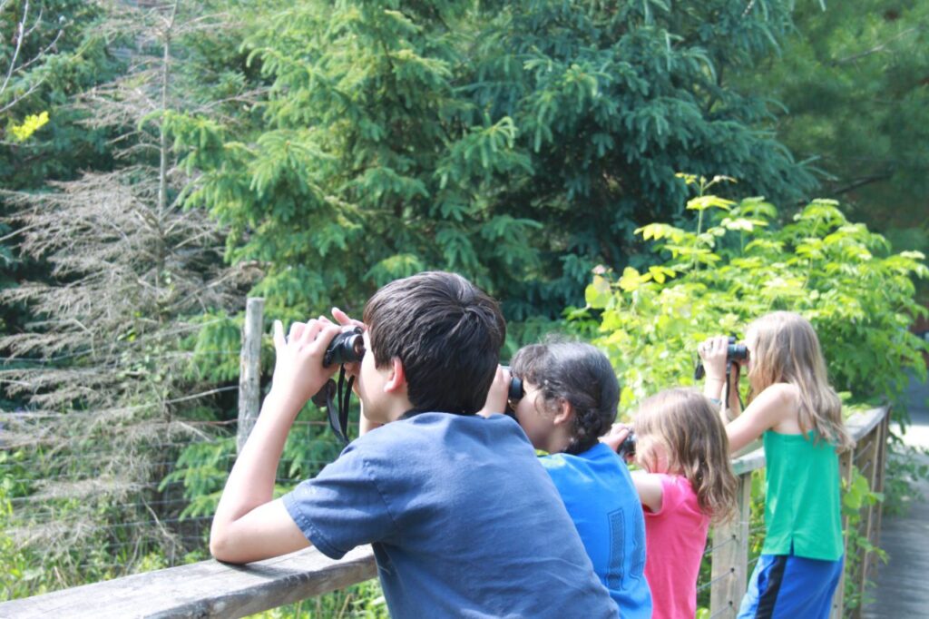 Identifying Birds with Kid Binoculars